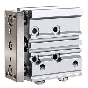 Cylindre Hofujng MGPL20-20Z, alternatives aux pistons SMcC, fabrication sur mesure - Product Image 6