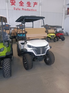Vente en gros : Nouveau chariot de golf 4+2 places, buggy, batterie plomb-acide/lithium, moteur 3500W-7500W, 30-50Km/h, forte demande - Product Image 3