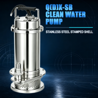 Pompe submersible à eau propre basse pression en acier inoxydable Q(D)X-SB, fabrication OEM, raccord fileté BSP, livraison directe usine
