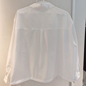 Camicetta in chiffon da <span class=keywords><strong>donna</strong></span> estiva a maniche lunghe con ricamo in stile cinese, design chic in vita, modello 2025 - Offerta imperdibile! - Product Image 4