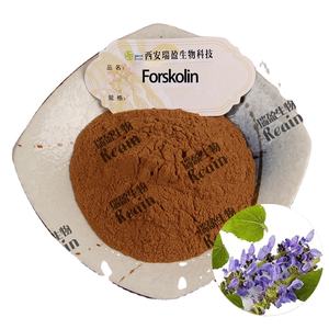 Ekstrak tanaman suplemen kesehatan ekstrak Coleus Forskohlii bubuk <span class=keywords><strong>Forskolin</strong></span> CAS 66575-29-9 20% ekstrak <span class=keywords><strong>Forskolin</strong></span> - Product Image 1