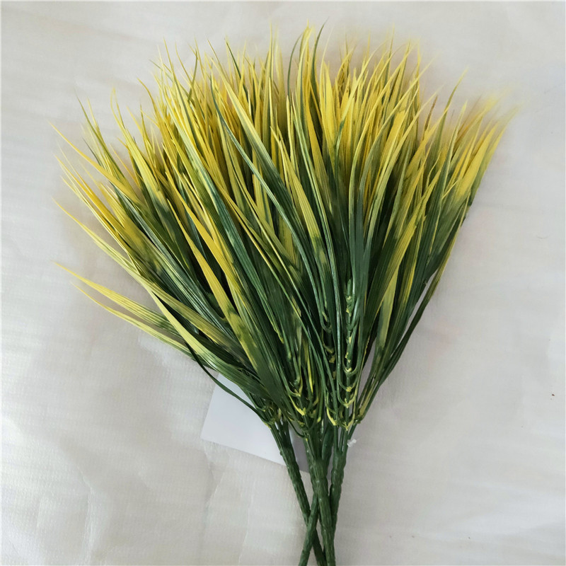 32cm onion grass yellow green