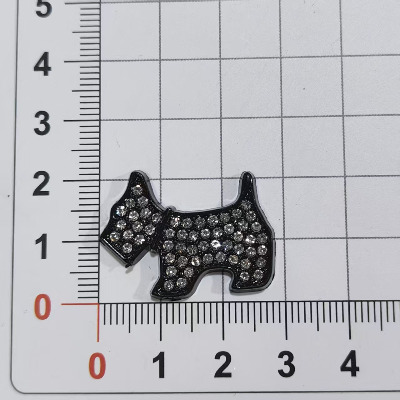 2 Chien bleo noir