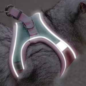 Harness Hewan Peliharaan yang Dapat Disesuaikan, Ramah Lingkungan, dari Kulit & Silikon, Sederhana, Modis, Nyaman, dan Dapat Diatur, untuk Anjing dan Kucing Kecil - Product Image 3