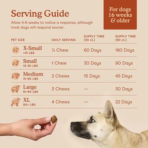 Probiotiques pour chiens OEM ODM Private Label avec prébiotiques favorisant un microbiome intestinal équilibré - Renforce la santé immunitaire - Friandises à mâcher molles - Product Image 1