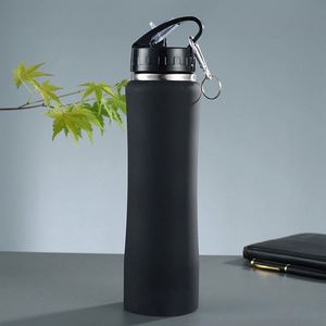 Bouteille d'eau isotherme en acier inoxydable pour pique-nique en extérieur, 600 ml, 750 ml, bouteille de sport à double paroi sous vide avec couvercle à paille, pot à boisson portable - Product Image 1
