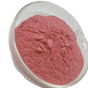 Poudre de Fraise Séchée Échantillon Gratuit Naturel Poudre de Jus de Fraise - Product Image 3