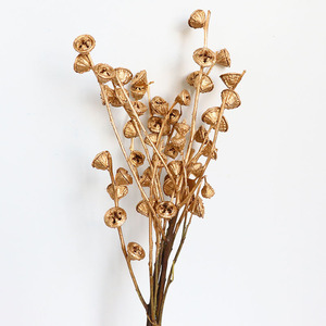 סדרת זהב פרי זומבי פרי אקליפטוס צבוע זהוב פירות דוחן שירלי פופי משומר פרחי זהב מיובשים - Product Image 1