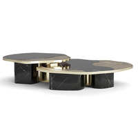 Ensemble de tables basses de luxe moderne en marbre noir avec bordure dorée, structure métallique, forme irrégulière, combinaison de meubles pour salon