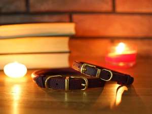 <span class=keywords><strong>Collar</strong></span> de cuero para perro, correa redonda duradera para perros, cachorros y gatos, Borgoña, multicolor a granel - Product Image 3