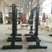 Support vertical professionnel pour plaques de poids, idéal pour la musculation et l'équipement de fitness en salle de sport