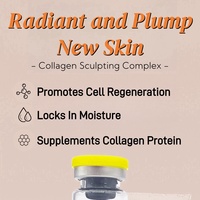 Sérum de soin de la peau pour le visage OEM, effet repulpant, lifting du visage en V, anti-âge, poudres lyophilisées, ampoules de collagène