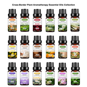 Vente en gros <span class=keywords><strong>d</strong></span>'huiles essentielles 100% pures, naturelles, lavande, menthe poivrée, géranium, citron vert, rose et bergamote, collection <span class=keywords><strong>d</strong></span>'aromathérapie - Product Image 1