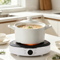 Cuisinière Électrique Infrarouge Ronde Portable 2200W, Compatible avec Tous les Ustensiles de Cuisson, Plaque Céramique Électrique, Fourniture d'Usine, SKD Disponible