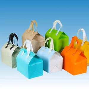 Sacs isothermes écologiques personnalisés en non-tissé imperméable avec feuille d'aluminium pour emballage alimentaire à emporter et boissons - Product Image 2