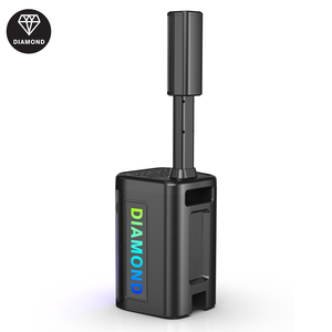 Altavoz de Línea Activa de 8 Pulgadas con Woofer, Diseño Profesional para KTV y Karaoke, Mini Altavoz con Luces LED RGB Intermitentes, Gran Venta 2026 - Product Image 4