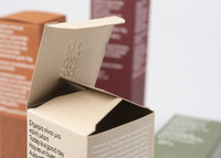 Boîtes en papier écologiques personnalisées, emballages élégants et adaptés aux entreprises, boîtes imprimées en carton recyclé pour produits écologiques