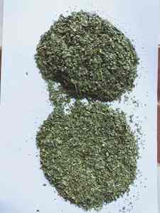 Hojas de Perejil Secas de Alta Calidad, Procesadas por el Método FD, Marca El Ekhlas, Directamente de Nuestras Granjas en Egipto, Gránulos Crudos, Estrictamente Verdes, 25 kg - Product Image 4