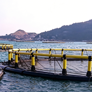 Cage flottante en filet haute pression à mailles fines en PEHD pour l'élevage de jeunes poissons - Product Image 1