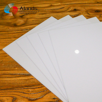 ALANDS PS Opal LED Light Diffuser Sheet 1mm/2mm Transparent 1220x2440mm Garantie 10 ans Anti-âge Service de découpe Publicité Vierge