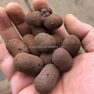 Bolas de <span class=keywords><strong>arcilla</strong></span> <span class=keywords><strong>expandida</strong></span> a <span class=keywords><strong>precio</strong></span> de ceramsita para jardín hidropónico - Product Image 2