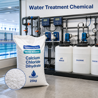 Chlorure de calcium dihydraté, déshydratant de haute pureté pour conteneurs maritimes