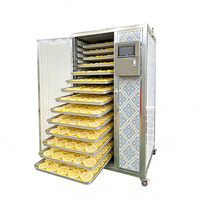 Multifunctionele eenfasige elektrische dehydrator voor het drogen van fruit, mango's, citroenen en abrikozen