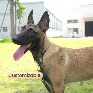 <span class=keywords><strong>Collar</strong></span> de Perro Táctico de Nailon Suave con Luces Reflectantes Ajustables y Duraderas, con Asa, 2 Pulgadas, Resistente, con Logotipo Personalizado OEM ODM, Gran Venta - Product Image 4
