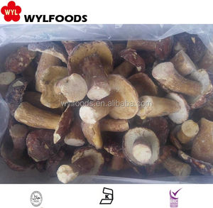 Nueva cosecha IQF <span class=keywords><strong>Boletus</strong></span> <span class=keywords><strong>Edulis</strong></span> entero/cortes <span class=keywords><strong>Boletus</strong></span> <span class=keywords><strong>Edulis</strong></span> congelado seta congelada - Product Image 4