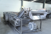Continue bubbelwasmachine voor groenten en fruit, multifunctionele verwerkingsapparatuur