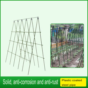 2025 nouveaux piquets de Support de plante de jardin de vente chaude pour fleurs grimpantes poteau de vigne antirouille réglable - Product Image 2