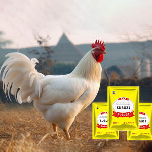 Vitamines pour Poulets de Chair Croissance Rapide et Gain de Poids Aliment de Croissance pour Poulets Booster de Croissance pour Poulets de Chair - Product Image 1