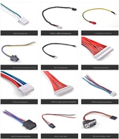 Kustom 2-Pin konektor JST otomotif memanfaatkan kabel PVC solusi perakitan kabel untuk lampu depan ECU ATV alarm