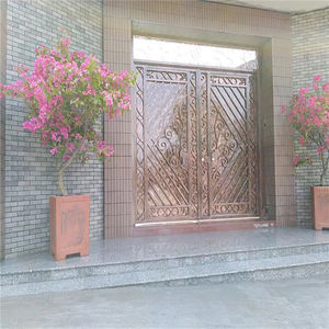 Agradable PUERTAS DE HIERRO Ornamental puerta de diseño de puerta principal puerta de hierro forjado catálogo de diseño - Product Image 4