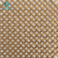 Panneaux de murs rideaux décoratifs en treillis métallique tissé en spirale, en laiton doré et acier inoxydable, pour l'extérieur et les ascenseurs de bâtiments