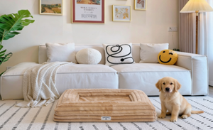 Cama de Lujo para Perros YANGYANG PET, de Terciopelo Cómodo, con Funda Extraíble y Lavable, Diseño de Dibujos Animados, Fibra de Polipropileno, Accesorio para Mascotas para Todas las Estaciones - Product Image 5