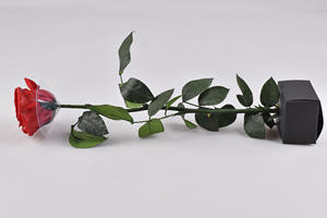 Rosa Preservada Hecha a Mano |   Decoración para Bodas y Regalos para el Día de San Valentín al por Mayor a <span class=keywords><strong>Precio</strong></span> de Fábrica - Product Image 5