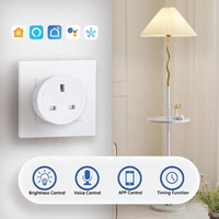 Bilihondim UK Mini Matter Over Thread Plug Dimmer 200W Contrôle Domotique Intelligent 1 Canal Télécommande Sans Fil Sortie 1A