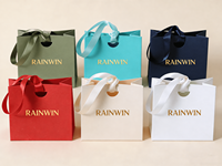 Sac cadeau minimaliste pour bijoux, petit sac de courses en papier écologique avec ruban pour boutique, faveurs de mariage, fournisseur