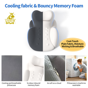 Multi-Functional Memory Foam Oblong Pillow Eco-Friendly Air-Permeable Removable Washable Cover for <strong>Bed</strong> Use Sitting <strong>Support</strong> <strong>Back</strong> - Product Image 5