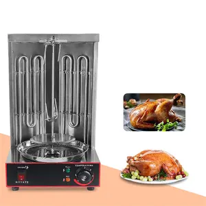 Barbecue Propaan Elektrische/Lpg Gas Turkije Doner Kebab Machine Shoarma Roasters Rotisserie Ovens