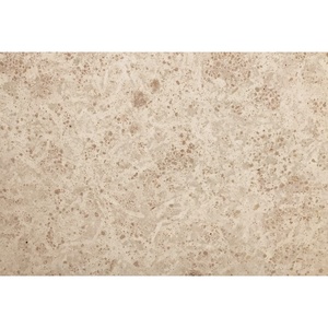 Carreaux de pierre calcaire beige Jura allemand UnionStone, finition mate, design moderne pour les sols intérieurs et extérieurs de villas - Product Image 3