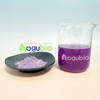 OEM Private Label Bio-Ube-Pulver für Natürliche Lebensmittelfärbung und Backen Lebensmittelqualität Ohne Zuckerzusatz Veganes Reines Ube-Pulver