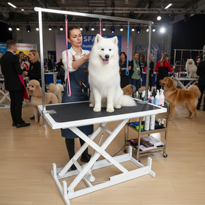 Fabrika Satışlı Profesyonel Veteriner Ekipmanları Hidrolik Elektrikli Evcil Hayvan Bakım Sistemli Köpek Bakım Masası - Product Image 1