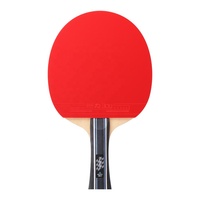 Ensemble de raquettes de tennis de table professionnel pour 2 joueurs, aspect carbone, avec 3 balles et étui de transport pour l'entraînement