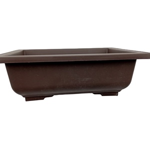 bonsai pots china