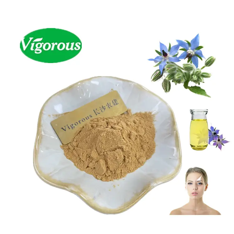 Haccp haute qualité 10:1 Starflower poudre Borago officinalis huile Extrait de bourrache naturel pour les cosmétiques