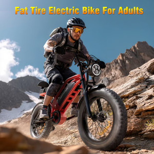 Vélo électrique tout-terrain 48V à pneus larges, deux places, adapté à la neige, livraison directe depuis entrepôt américain, export transfrontalier - Product Image 3