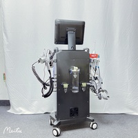 14in1 Hydra Spa Facial Machine Hydrafacy Machine Poignée Conseils H2O2 Hydro Oxygen Jet Peel Visage Nettoyage Brosse Dispositif