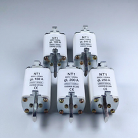 Fusible à lame NT00C, fusible HRC, 63A, 500V AC, capacité de coupure 120kA, certifié IEC 60269, corps en céramique, puissance industrielle
